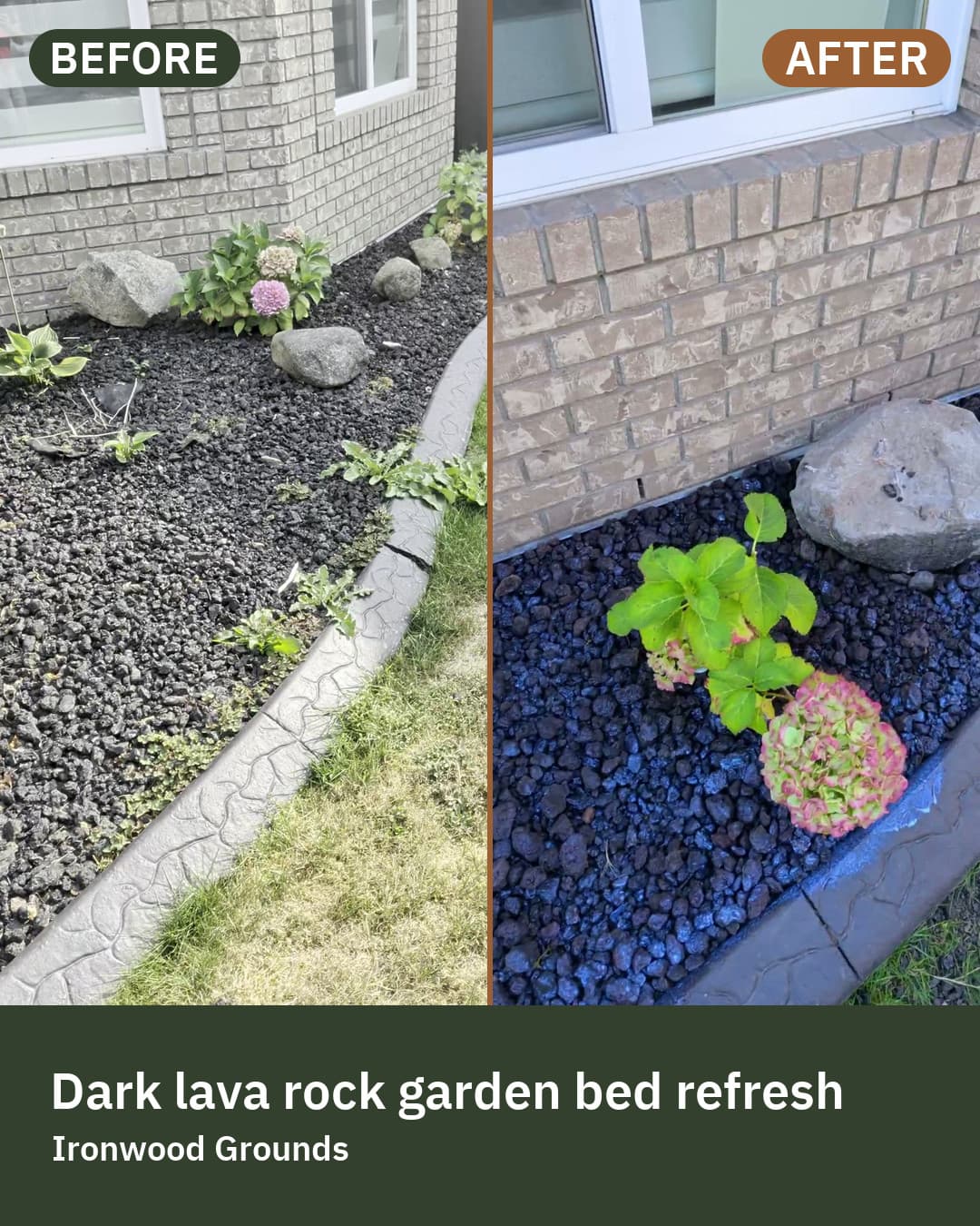 Actual before-and-after garden bed export for Ironwood Grounds showing dark lava rock